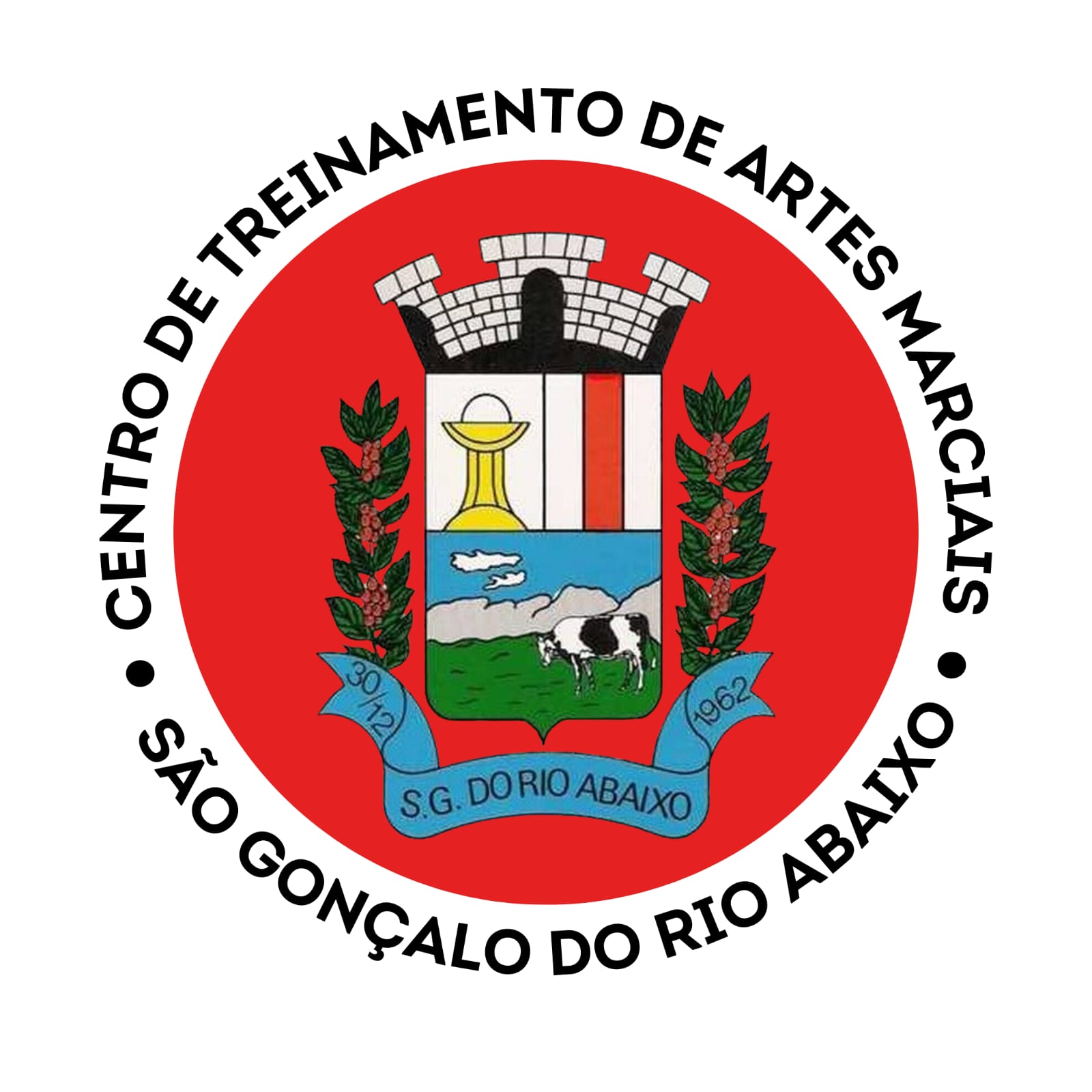 Logo do clube SÃO GONÇALO DO RIO ABAIXO
